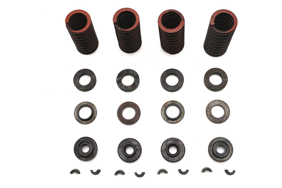 Valve Spring Kit
