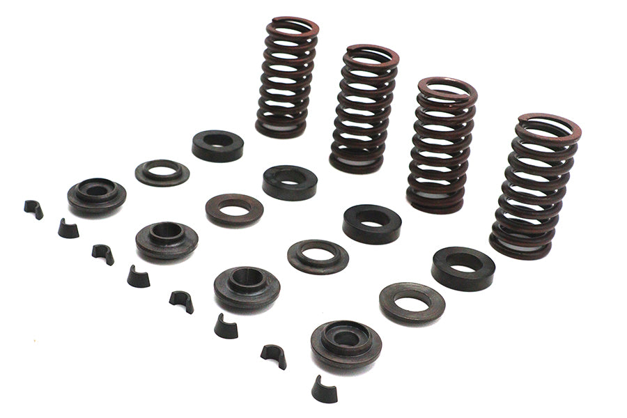 Valve Spring Kit