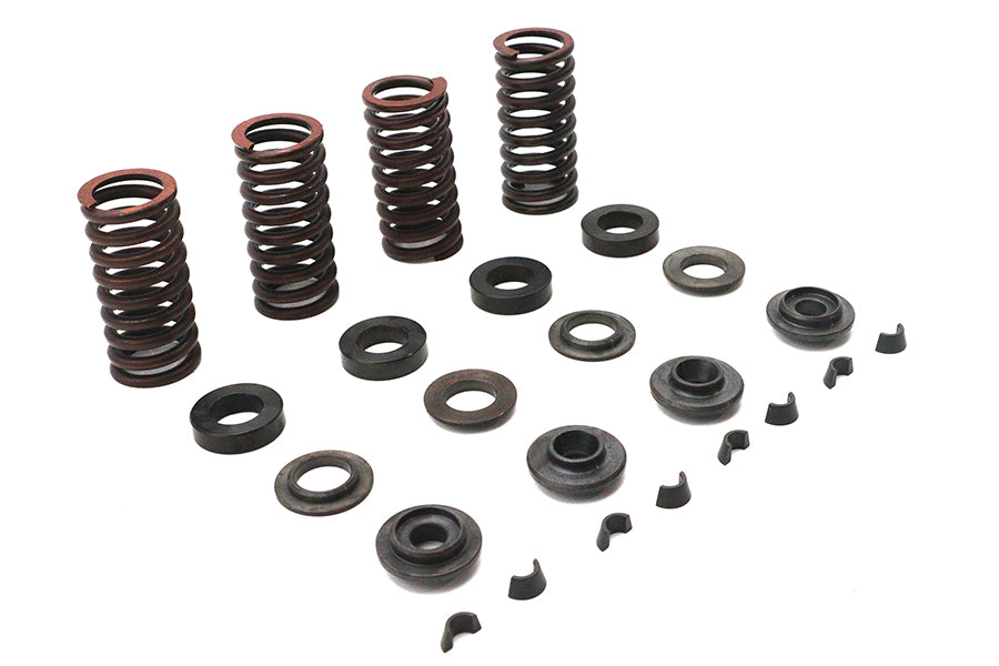 Valve Spring Kit