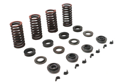 Valve Spring Kit