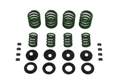 Valve Spring Kit Chrome