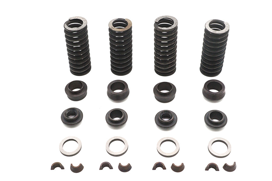 Valve Spring Kit