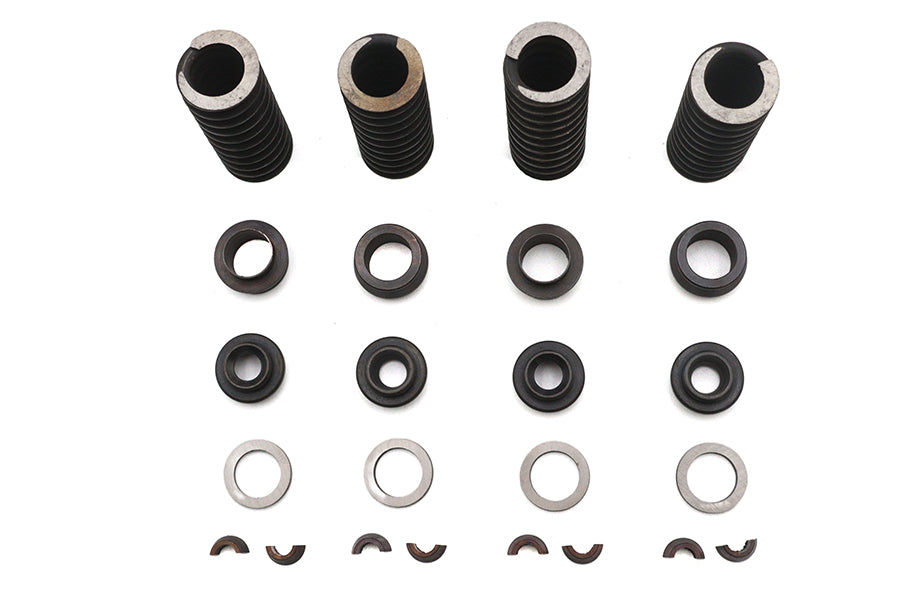 Valve Spring Kit