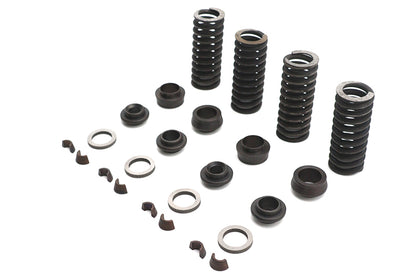 Valve Spring Kit