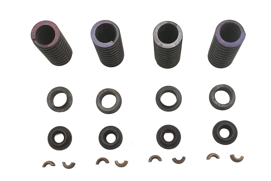 Valve Spring Kit