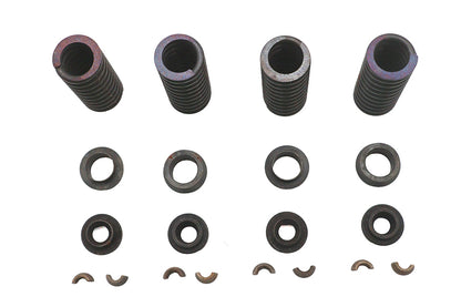 Valve Spring Kit