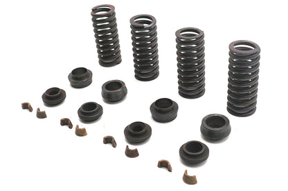 Valve Spring Kit