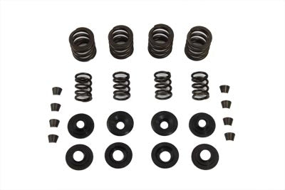 Sifton Valve Spring Kit