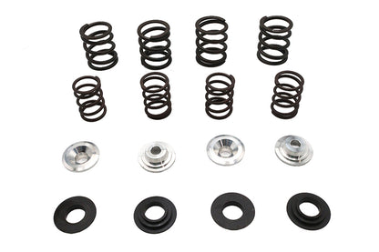 Valve Spring Kit
