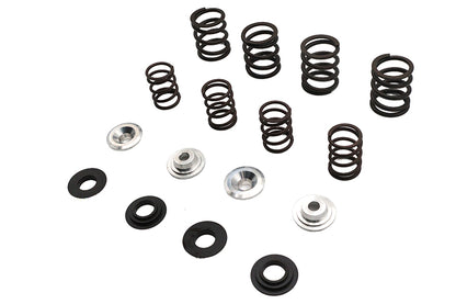 Valve Spring Kit