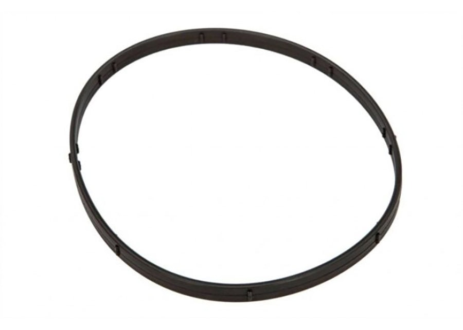 M8 Primary Derby O-Rings