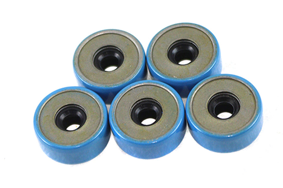 Clutch Pushrod Seal