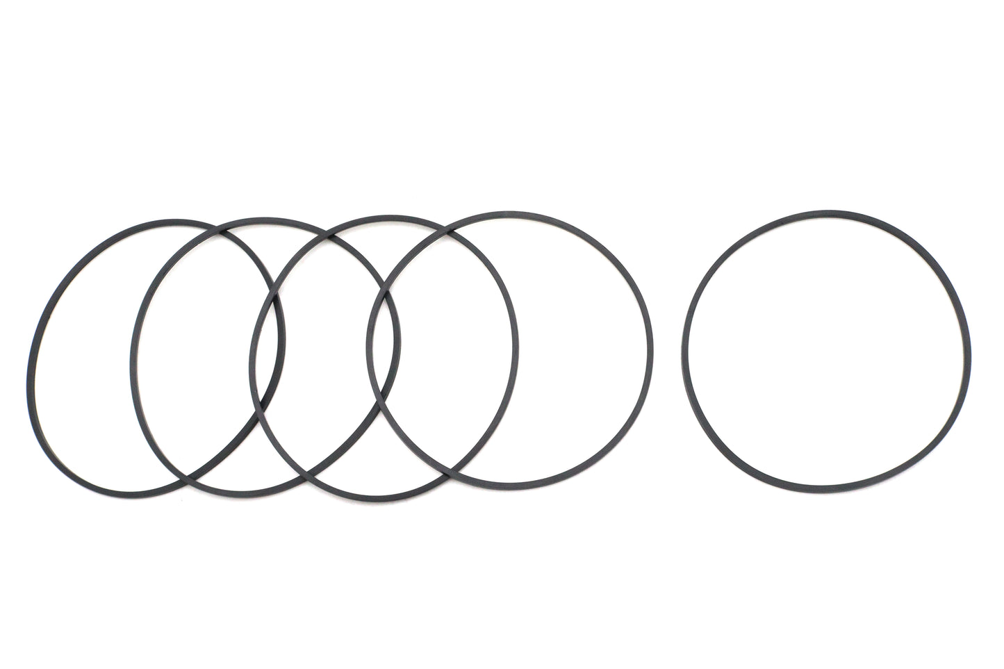 V-Twin Primary Derby O-Ring
