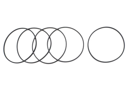 V-Twin Primary Derby O-Ring