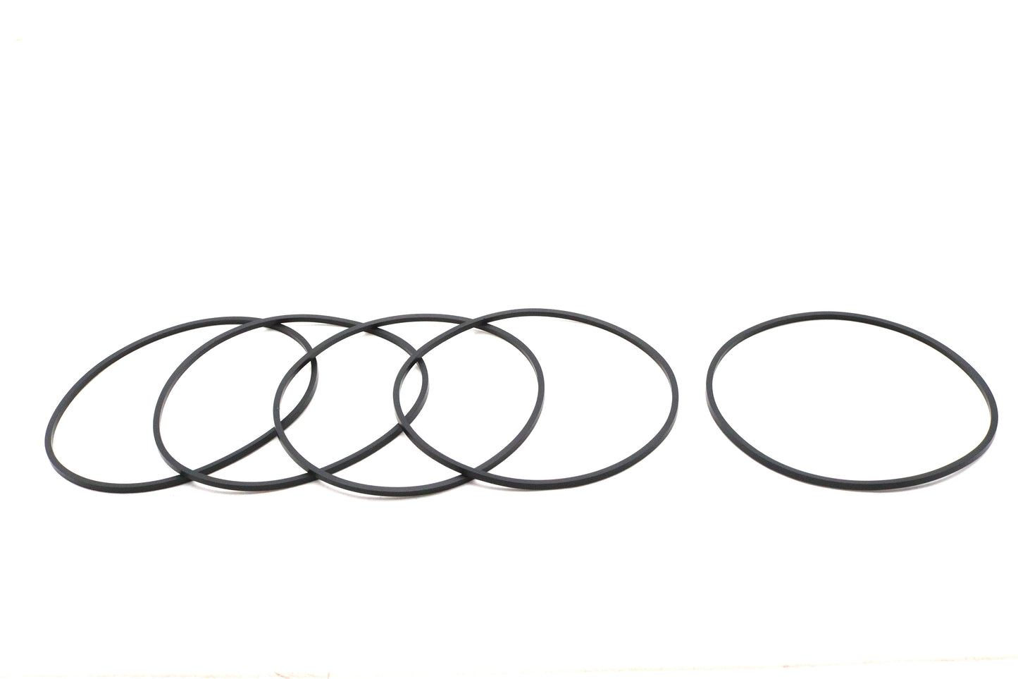 V-Twin Primary Derby O-Ring
