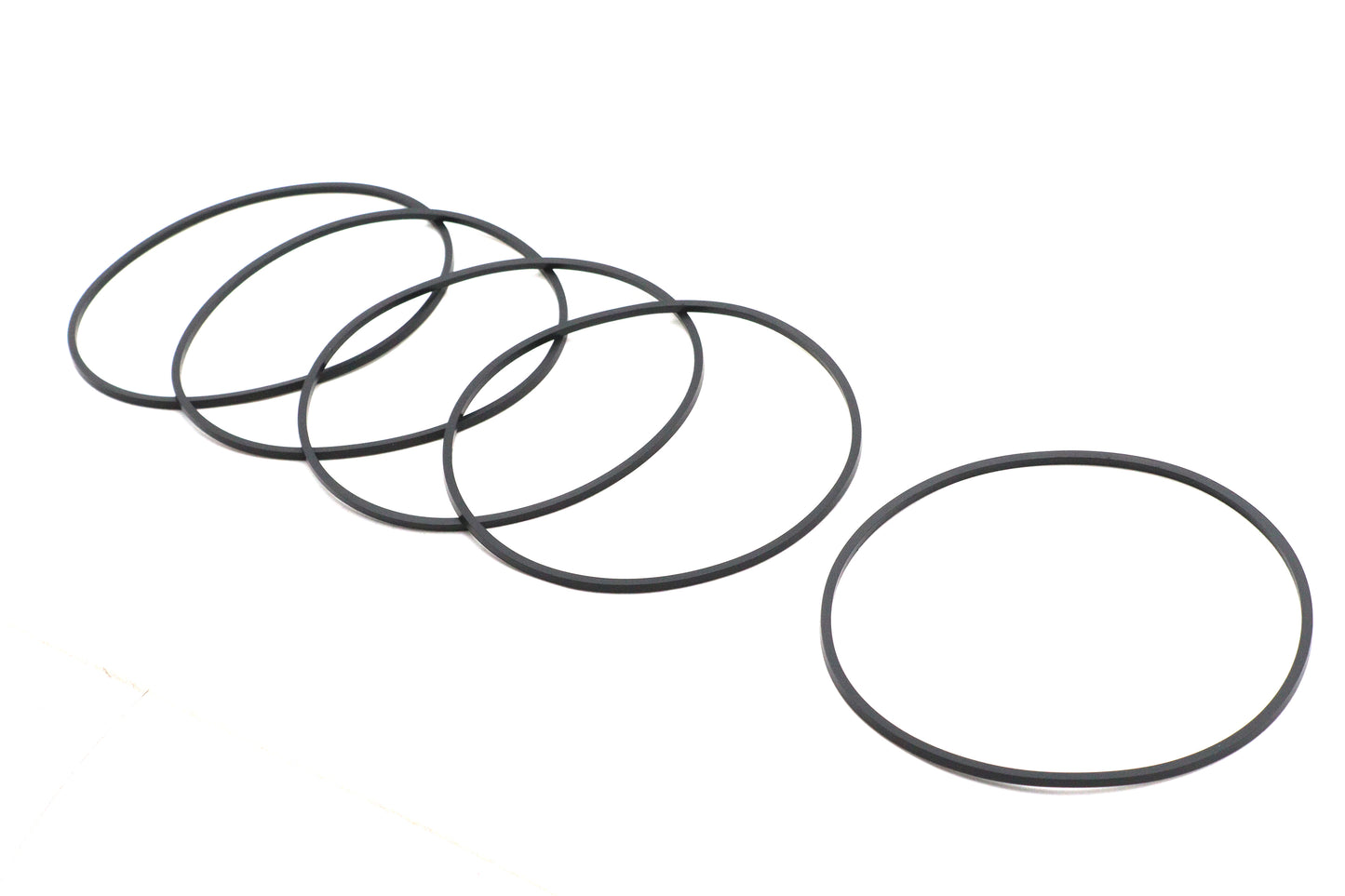 V-Twin Primary Derby O-Ring
