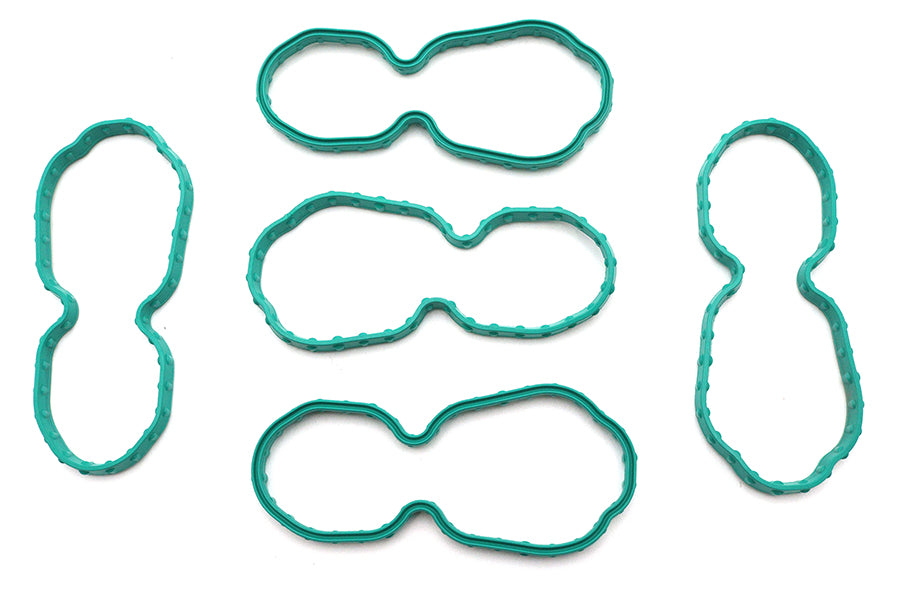 Fuel Pump Plate Seals