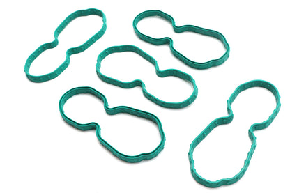 Fuel Pump Plate Seals
