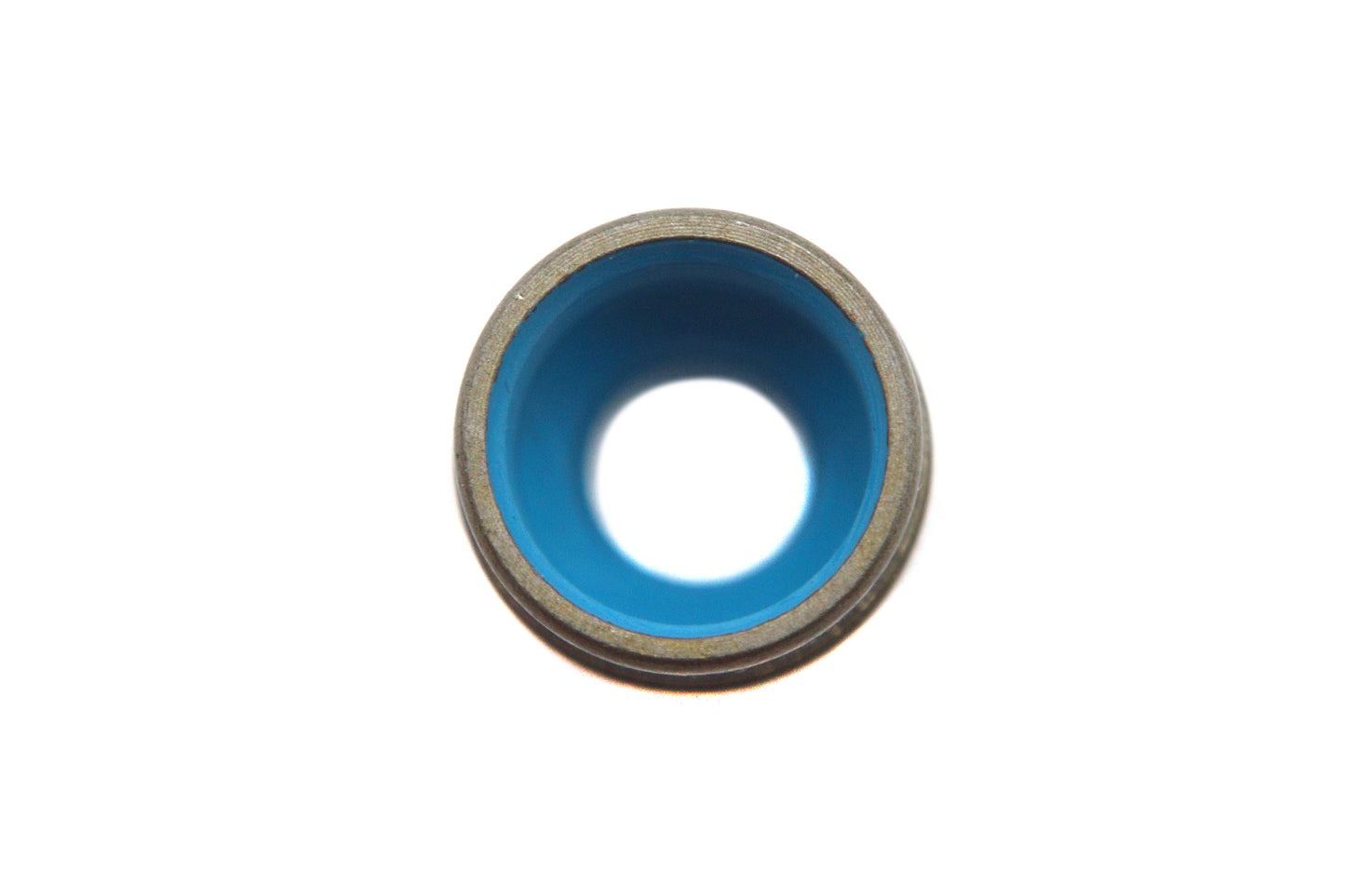 Evolution Valve Guide Seal