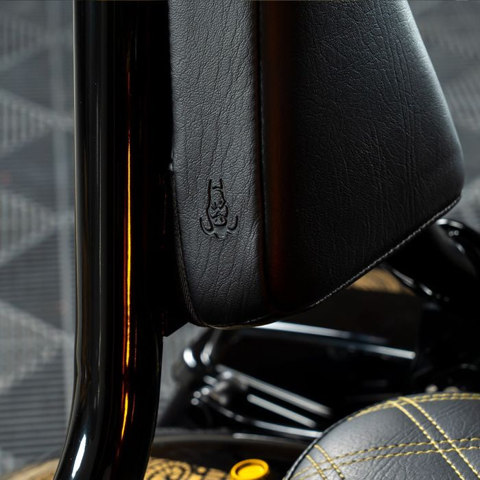 black havoc sissy bar