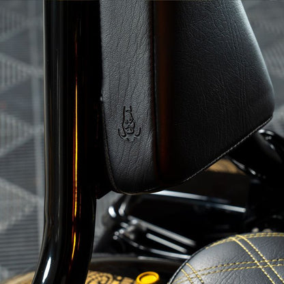 black havoc sissy bar