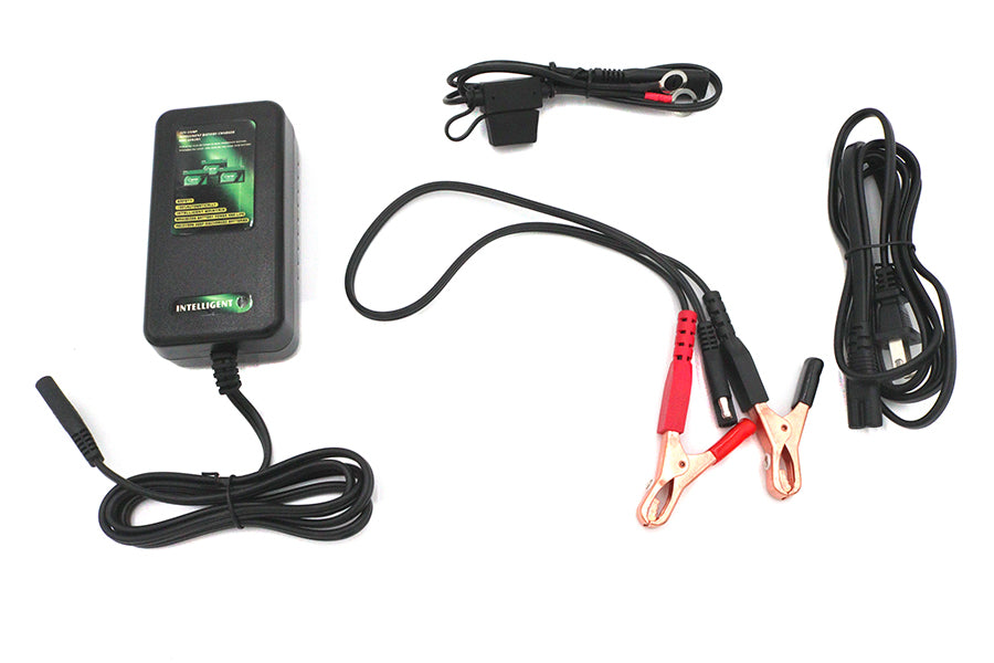 Skyrich Automatic Battery Charger