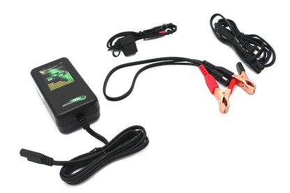 Skyrich Automatic Battery Charger