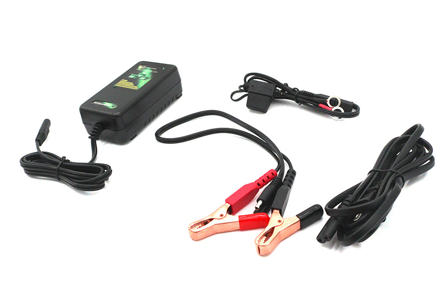 Skyrich Automatic Battery Charger