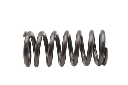 OE Clutch Spring