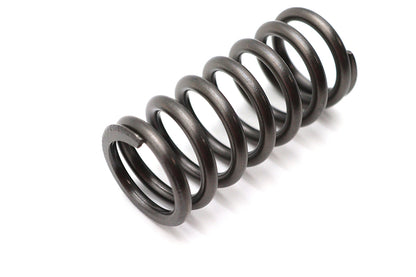 OE Clutch Spring