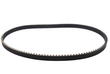 1-1/8 BDL Rear Belt 125 Tooth