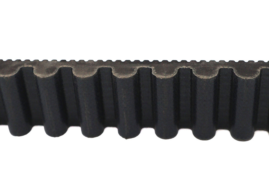 1-1/8 BDL Rear Belt 125 Tooth
