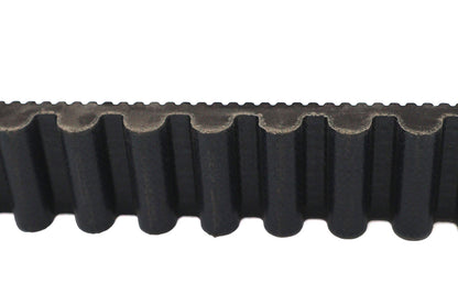 1-1/8 BDL Rear Belt 125 Tooth
