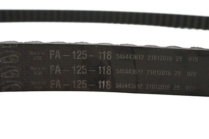 1-1/8 Carlisle Panther Rear Belt 125 Tooth