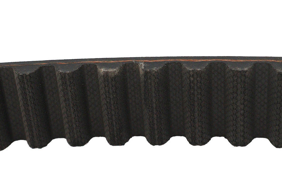 1-1/8 Carlisle Panther Rear Belt 125 Tooth