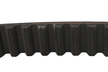 1-1/8 Carlisle Panther Rear Belt 125 Tooth