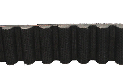 1-1/8 Carlisle Panther Rear Belt 128 Tooth