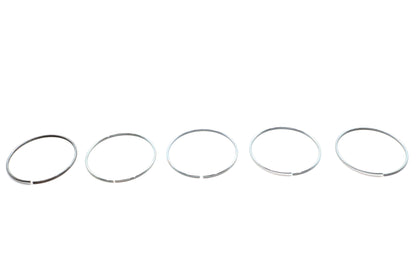 Rear Brake Caliper Piston Retaining Ring