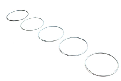 Rear Brake Caliper Piston Retaining Ring