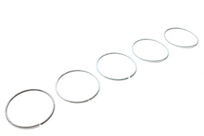 Piston Ring for Rear Brake Caliper