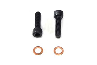 Fork Damper Tube Screw and Washer