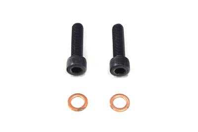 Fork Damper Tube Screw and Washer