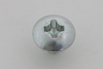 Replica Fork Cover Screws