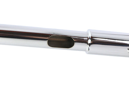 AEE V-Bar 1-1/4 Handlebar Chrome