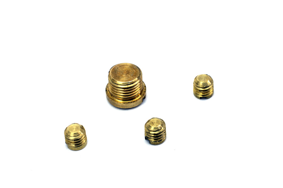 Carburetor Idle Plug and Screw Kit