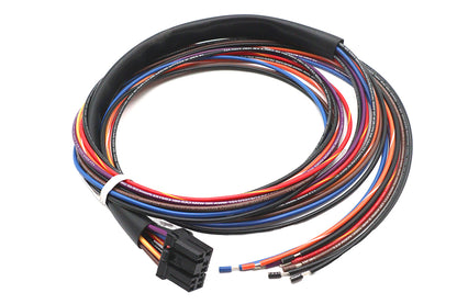 Deutsch Wiring Connector for Tail Lamp