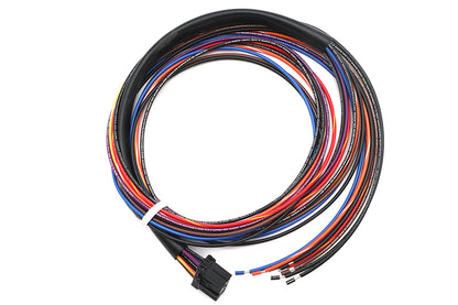 Deutsch Wiring Connector for Tail Lamp