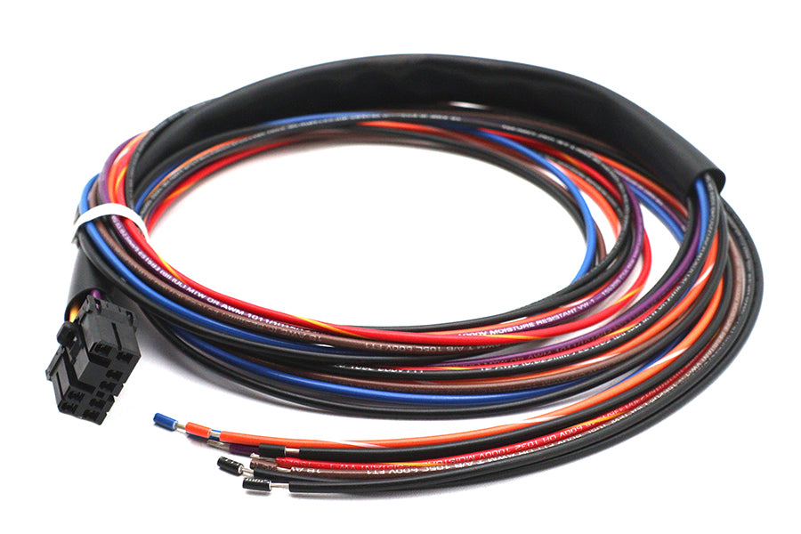 Deutsch Wiring Connector for Tail Lamp
