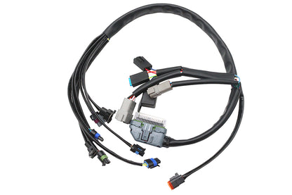 Complete EFI Harness