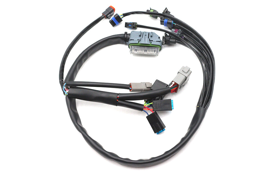 Complete EFI Harness